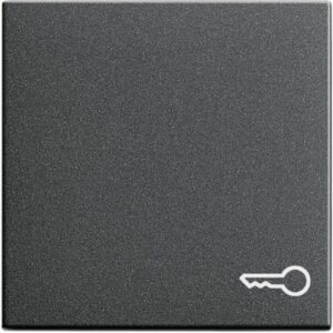 GIRA 028728 Wippe Schalter anthrazit