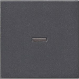 GIRA 029028 Kontrollwippe Schalter anthrazit – Bild 1