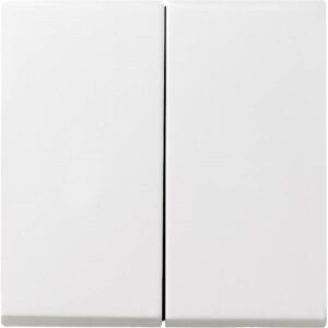 GIRA 029503 Wippe 2fach Reinweiß glänzend – Bild 1