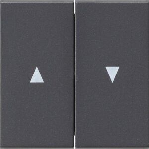 GIRA 029428 Wippe 2t Anthrazit – Bild 1