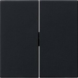 GIRA 0295005 Wippe 2fach schwarz matt – Bild 1