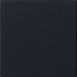 GIRA 5360005 Bedienelement 1f schwarz matt