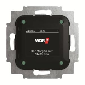 BUSCH-JAEGER 8215 U-101 UP-Radio, Basiselement, DAB+ und RDS-Stereo-Radiowecker, Farbdisplay – Bild 1
