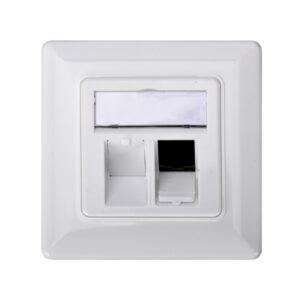 ASSMANN DN-93801-1 Modulaufnahme UP ws, 2xRJ45 RAL9010, weiß, mit Staubschutz – Bild 1